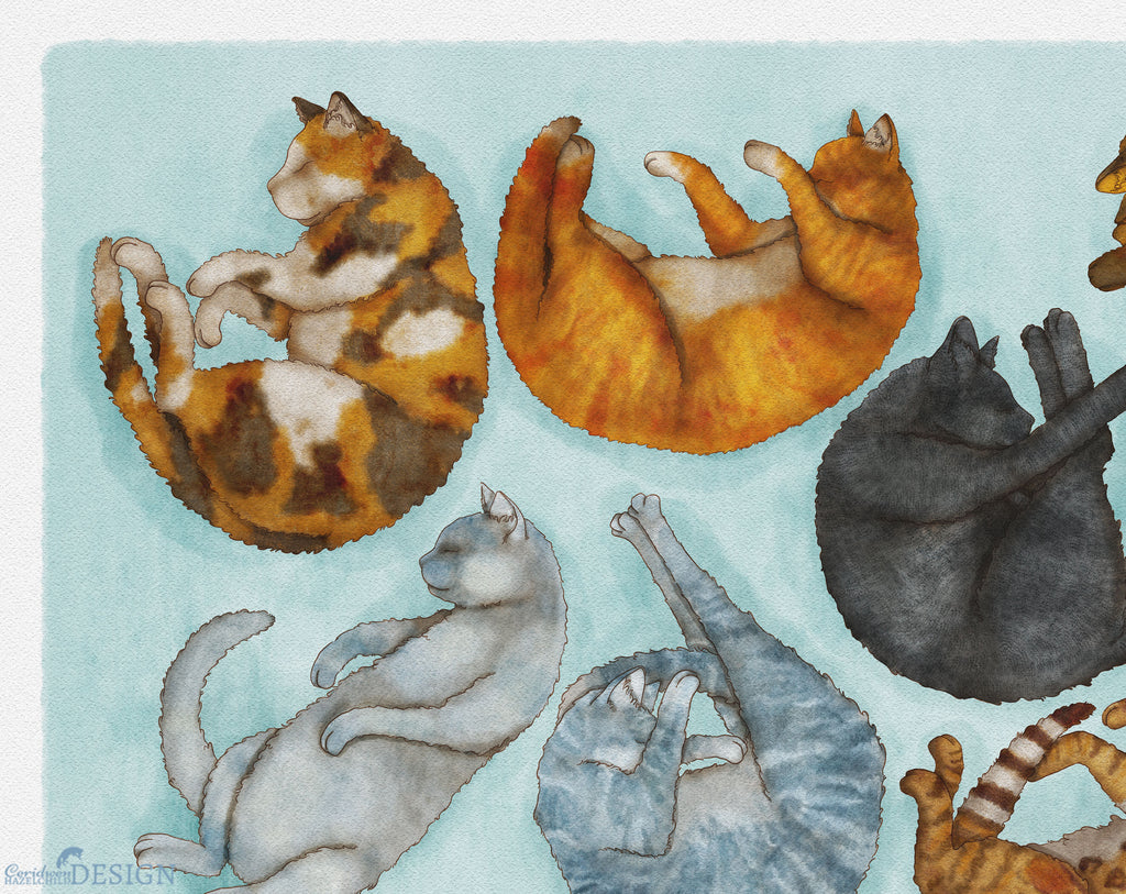A close up of an illustration of different sleeping cat breeds by Ceridwen Hazelchild.